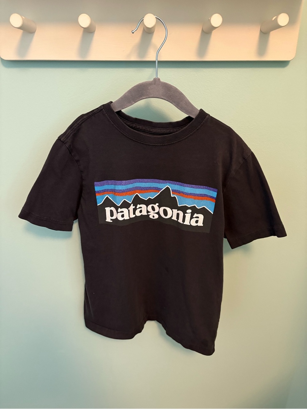 Patagonia Logo T-shirt